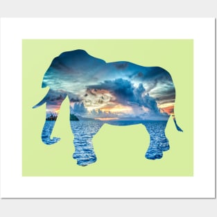 ELEPHANT Posters and Art